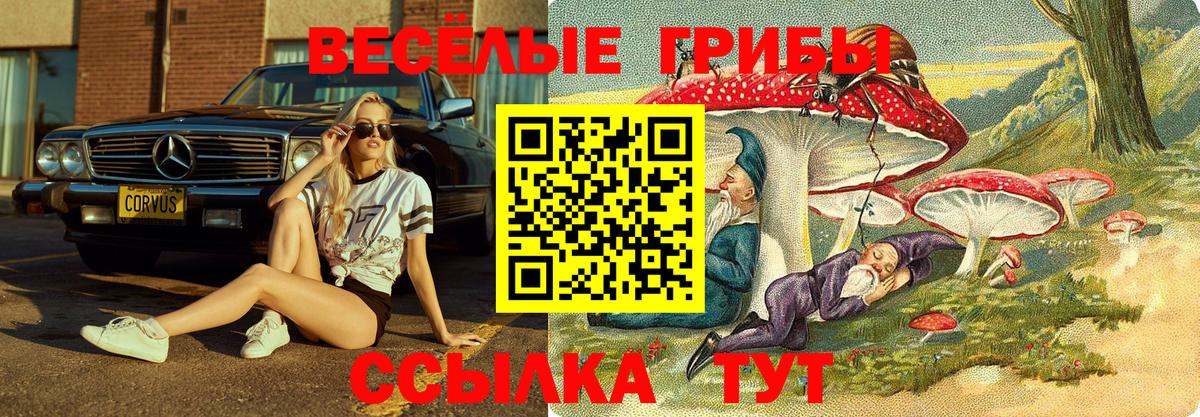 Псилоцибиновые грибы мухоморы  Псилоцибиновые грибы Magic Shrooms  Вход с VPN  Калининград 